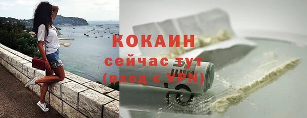 сатива Корсаков