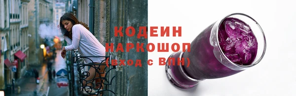 сатива Корсаков