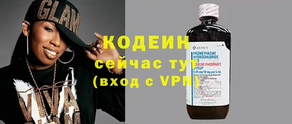 сатива Корсаков