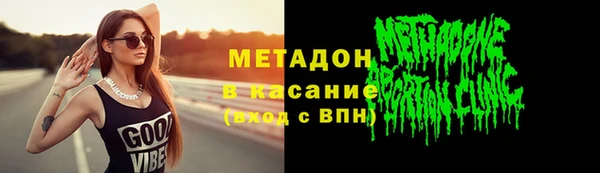 сатива Корсаков