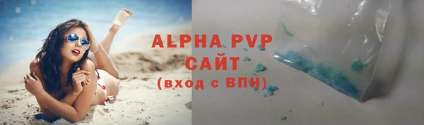 сатива Корсаков