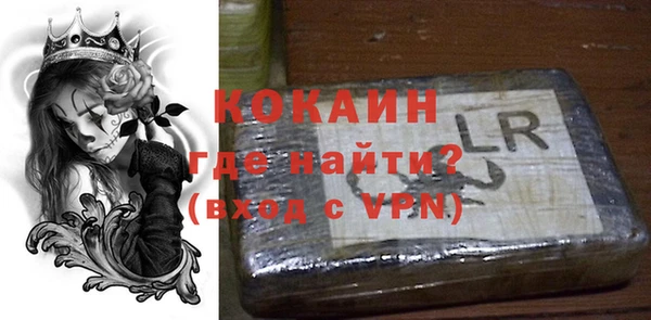 сатива Корсаков