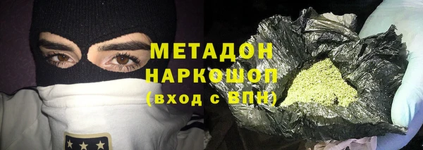 сатива Корсаков