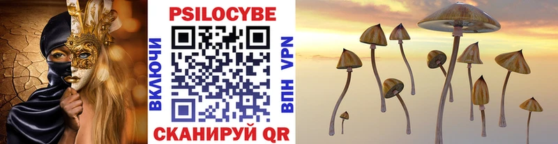 Купить  Починок  Псилоцибиновые грибы Magic Shrooms 